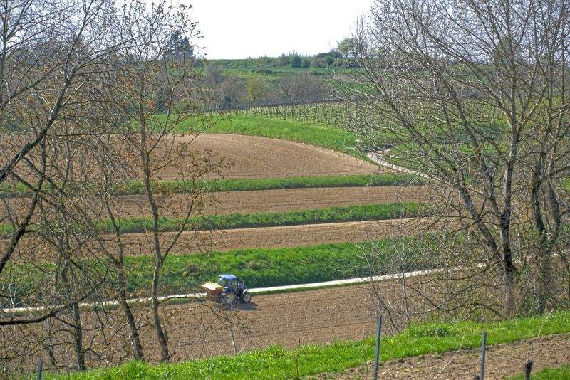 Avicultura del Ebro, S.L.