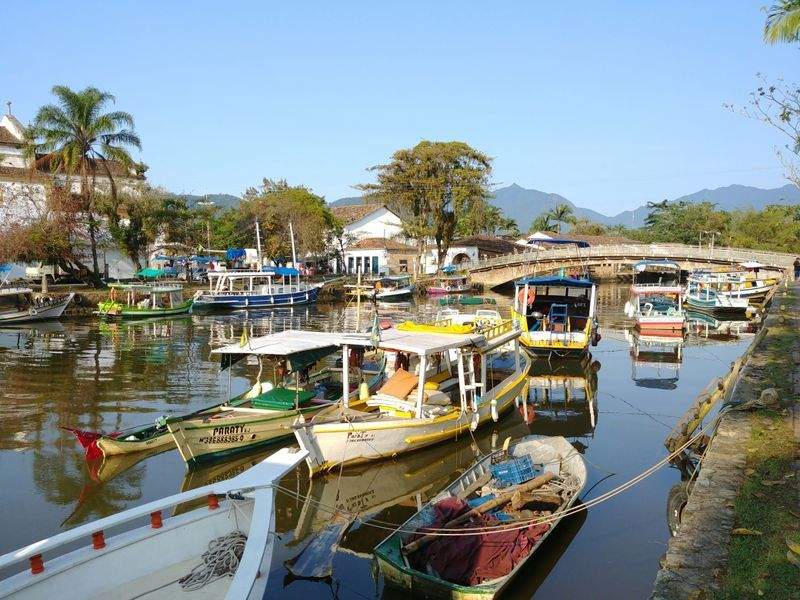 Avicultura del Ebro, S.L. 4